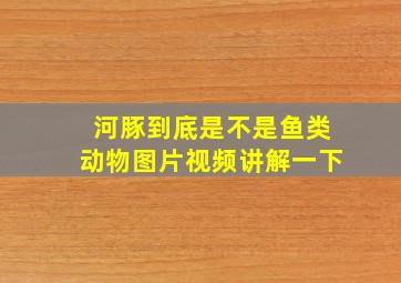 河豚到底是不是鱼类动物图片视频讲解一下