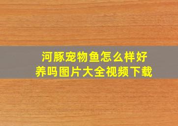 河豚宠物鱼怎么样好养吗图片大全视频下载