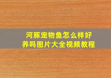 河豚宠物鱼怎么样好养吗图片大全视频教程