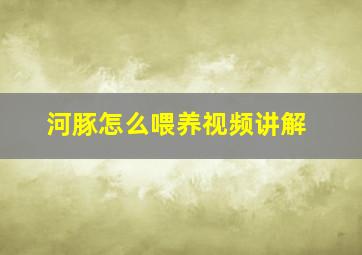 河豚怎么喂养视频讲解