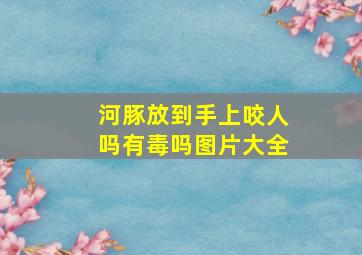 河豚放到手上咬人吗有毒吗图片大全