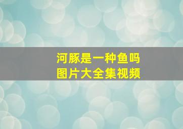 河豚是一种鱼吗图片大全集视频