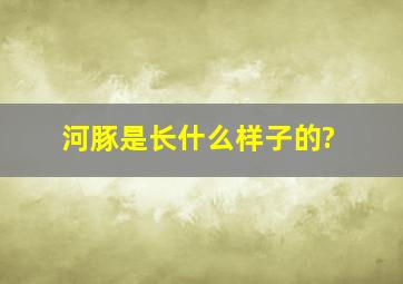 河豚是长什么样子的?