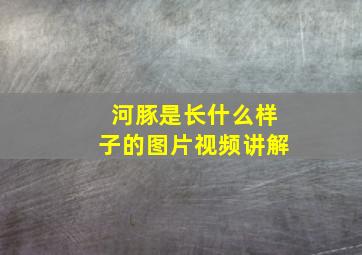 河豚是长什么样子的图片视频讲解