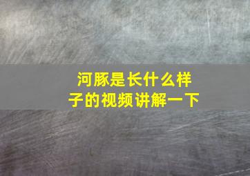 河豚是长什么样子的视频讲解一下