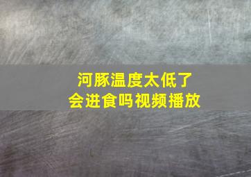 河豚温度太低了会进食吗视频播放