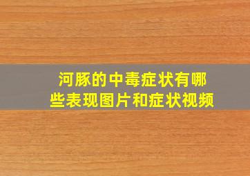 河豚的中毒症状有哪些表现图片和症状视频