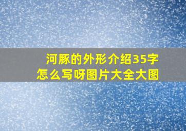 河豚的外形介绍35字怎么写呀图片大全大图