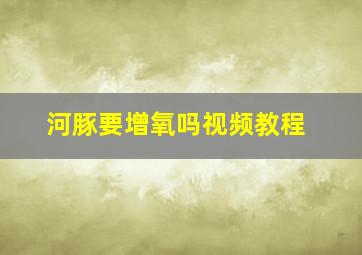 河豚要增氧吗视频教程