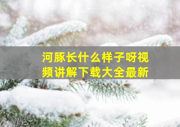 河豚长什么样子呀视频讲解下载大全最新