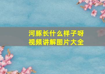 河豚长什么样子呀视频讲解图片大全