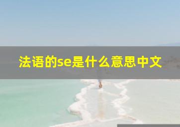 法语的se是什么意思中文