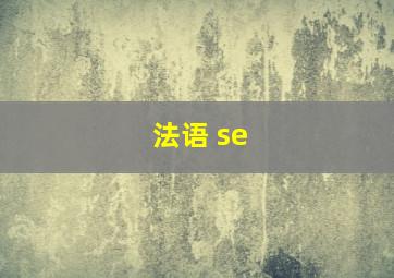 法语 se