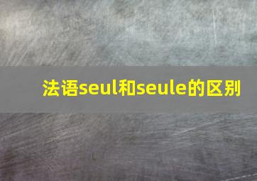 法语seul和seule的区别