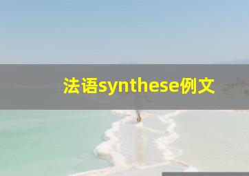 法语synthese例文