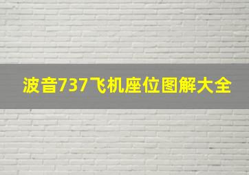 波音737飞机座位图解大全