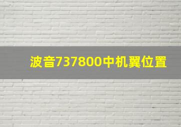 波音737800中机翼位置