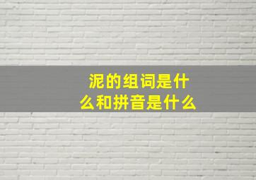 泥的组词是什么和拼音是什么