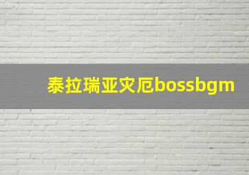 泰拉瑞亚灾厄bossbgm