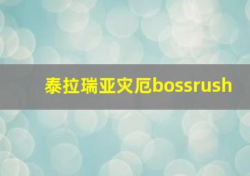 泰拉瑞亚灾厄bossrush