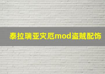 泰拉瑞亚灾厄mod盗贼配饰