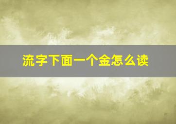 流字下面一个金怎么读