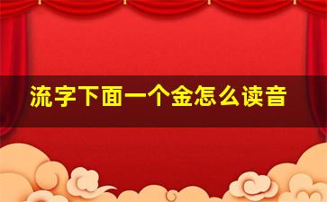 流字下面一个金怎么读音