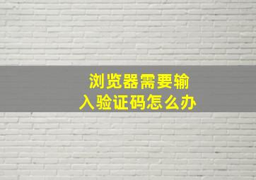 浏览器需要输入验证码怎么办