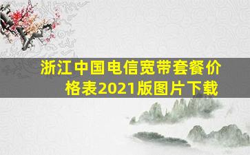 浙江中国电信宽带套餐价格表2021版图片下载