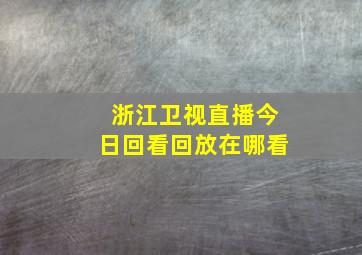 浙江卫视直播今日回看回放在哪看