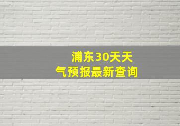 浦东30天天气预报最新查询