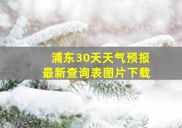 浦东30天天气预报最新查询表图片下载