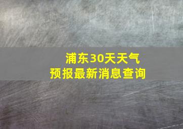 浦东30天天气预报最新消息查询