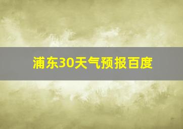 浦东30天气预报百度