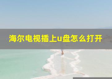 海尔电视插上u盘怎么打开