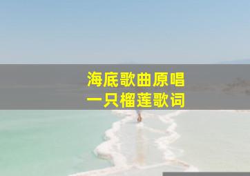 海底歌曲原唱一只榴莲歌词