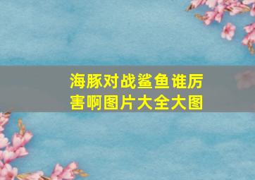 海豚对战鲨鱼谁厉害啊图片大全大图