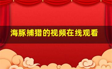 海豚捕猎的视频在线观看