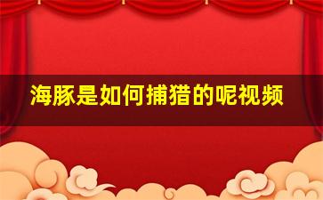 海豚是如何捕猎的呢视频