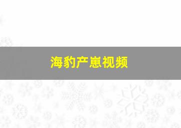 海豹产崽视频