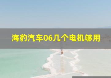 海豹汽车06几个电机够用