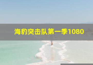 海豹突击队第一季1080