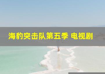 海豹突击队第五季 电视剧