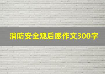 消防安全观后感作文300字