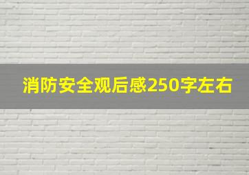 消防安全观后感250字左右