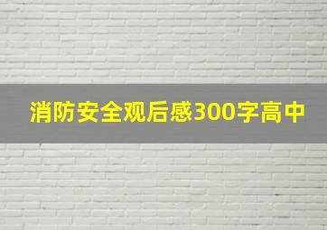 消防安全观后感300字高中