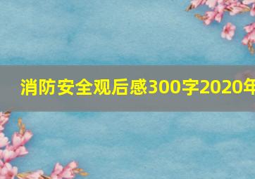 消防安全观后感300字2020年