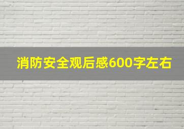 消防安全观后感600字左右