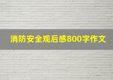 消防安全观后感800字作文