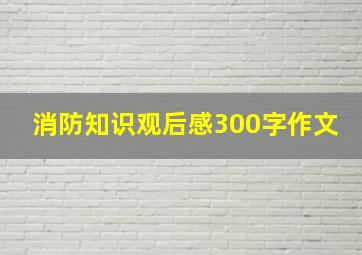 消防知识观后感300字作文